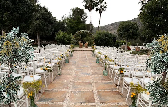 Heidi Francis Flowers - Xalo