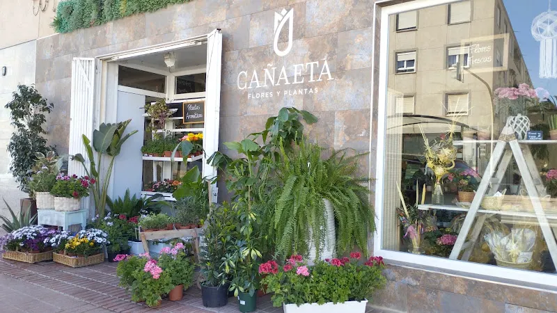FLORISTERIA CAÑAETA - Monovar/Monover