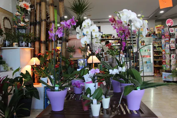 Floristería Natura - Orba