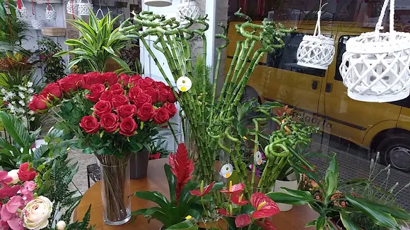 FLORISTERIA LA ORQUIDEA - Floristería en Almoradi