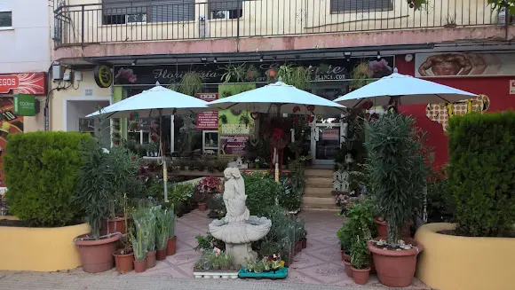 Floristería El Elegante