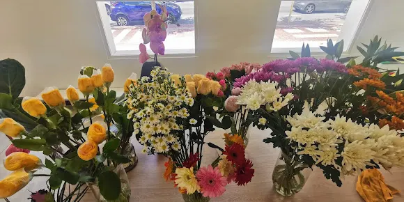 La Roseta flores y plantas - Alicante/Alacant