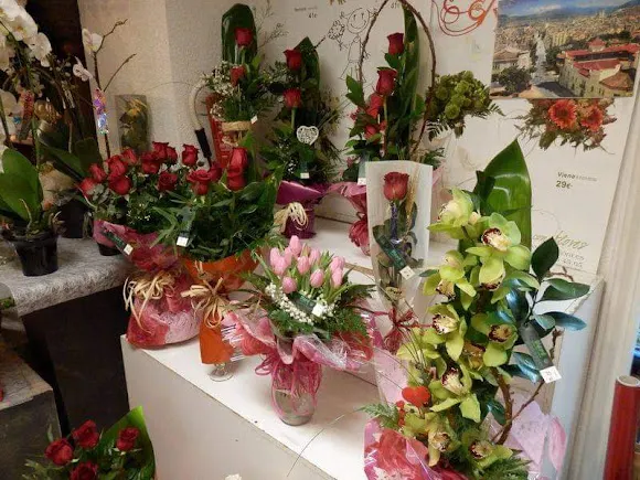 Floristeria Vert - Alcoy/Alcoi
