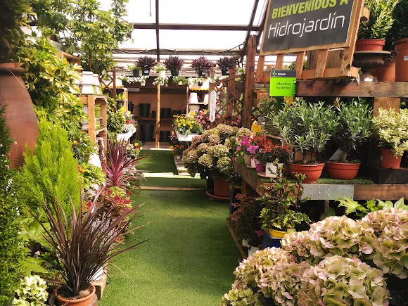 Hidrojardin - Alcoy/Alcoi