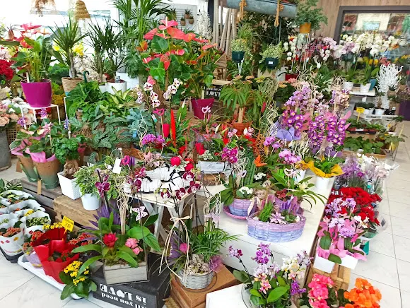 Floristería Naturplant - Benidoleig