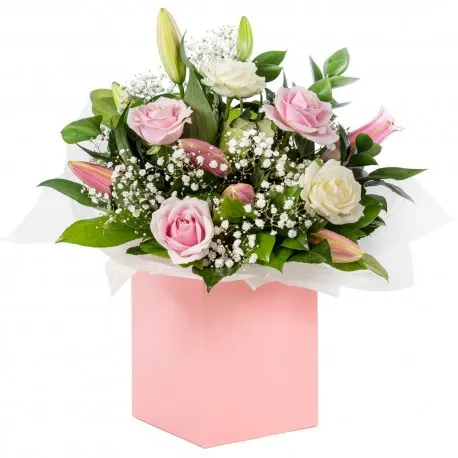 Diamond Flores - Los Montesinos