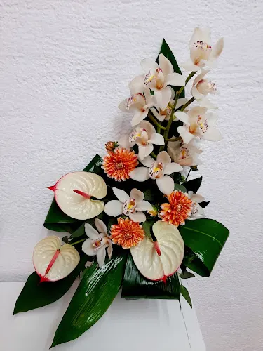 Floristeria el Baladre