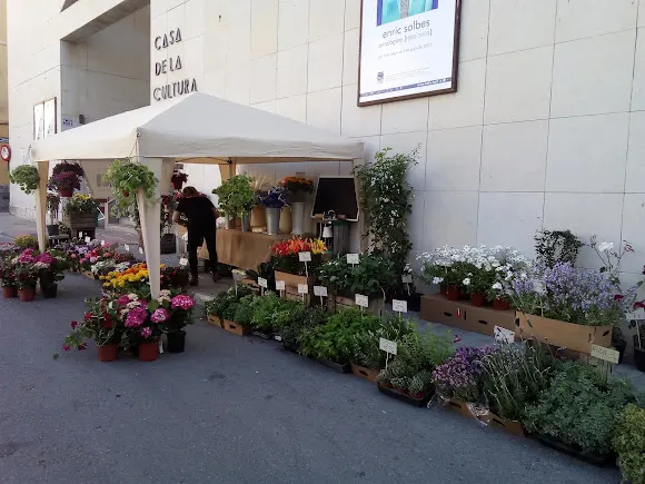 Floristería Queti