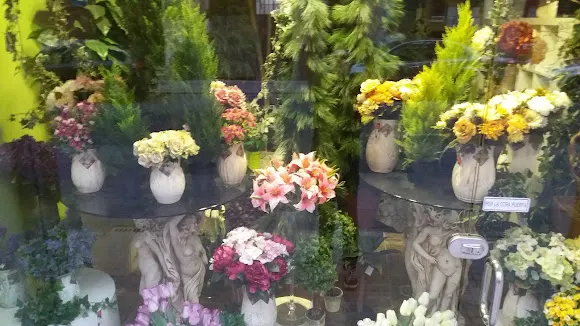 Floristería Aladino Alcoy - Floristería en Alcoy/Alcoi