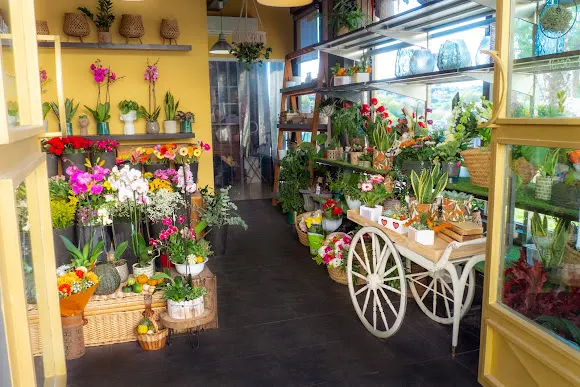 Florisima Flores Y Plantas - l'Alfas del Pi