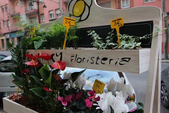 Floristería Rosa Mary