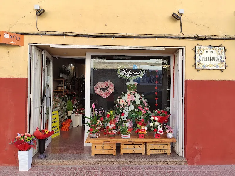 FLORISTERIA PELEGRINA - Alcoy/Alcoi