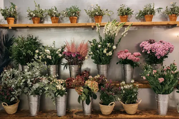 Chitina Flores y Decoración - Alicante/Alacant