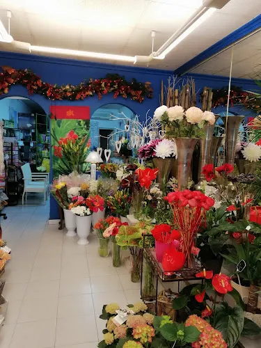Floristería Romar
