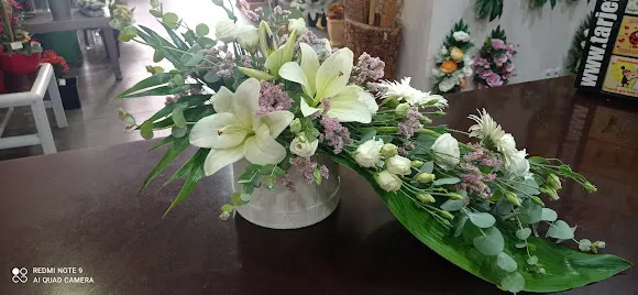 Eva Floristas - Elche/Elx
