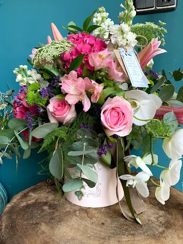 Lola Floristas
