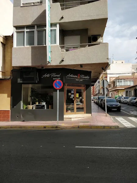 Artemisa - Torrevieja