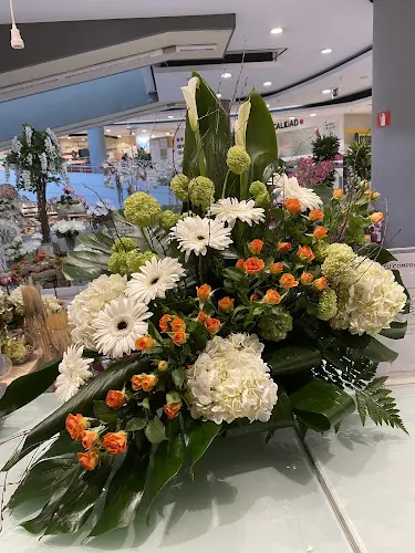 Floristeria Rosmelia - Elche/Elx
