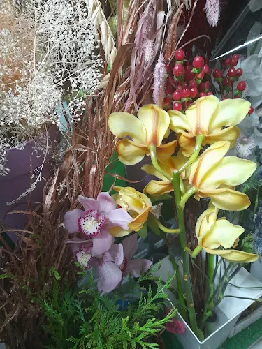 Floristería en Torrevieja - Florans