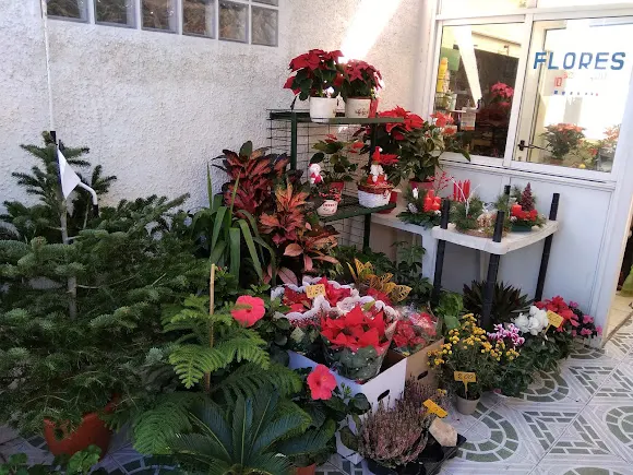 Flores Art