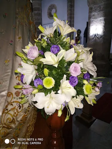 Floristeria y Merceria Del Bas