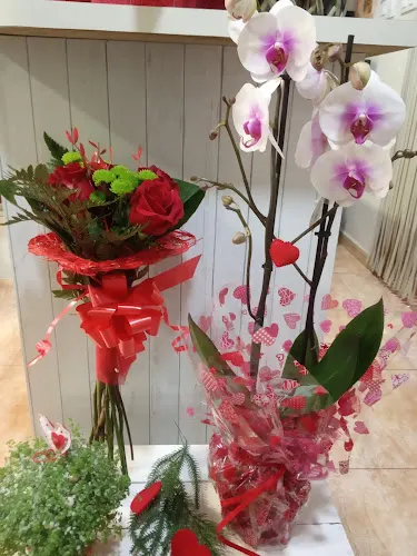 Floristería Maribel - Velez-Rubio