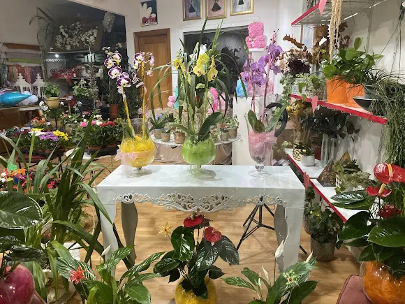 Floristería Manuela - Berja