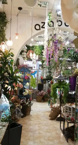 Azabache Floristería