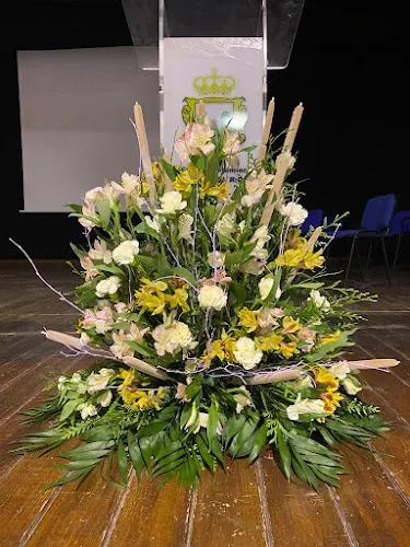 María José Florista