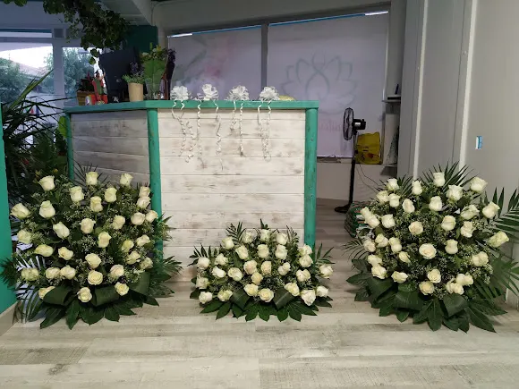 Floristeria Marisol - Velez-Rubio