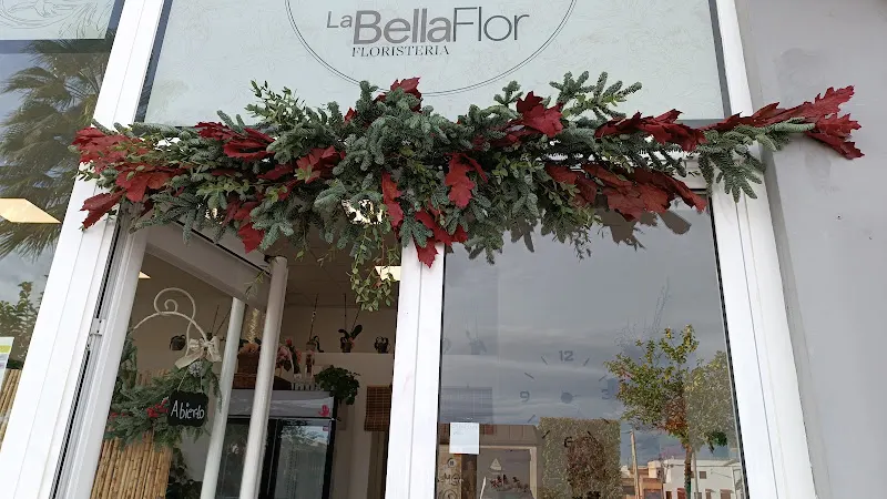 La bella flor - Vera