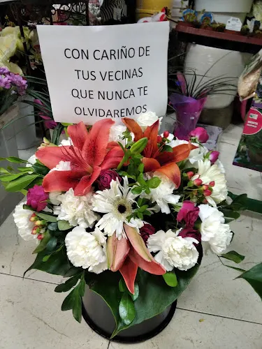 Floristería Rosa Cuadrado Copo