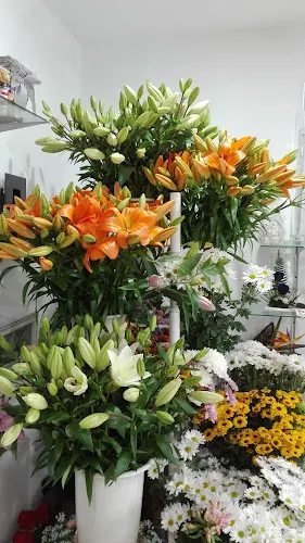 Floristería Pili