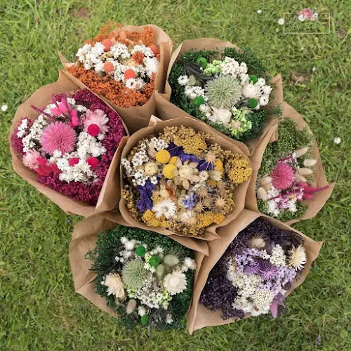 Ana García FLORISTAS - Oviedo