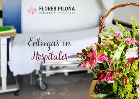 Flores Piloña - Floristería en Pilona