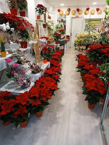 Floristería Marna