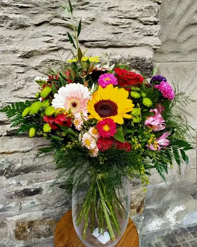 Floristería Brotes - Vegadeo