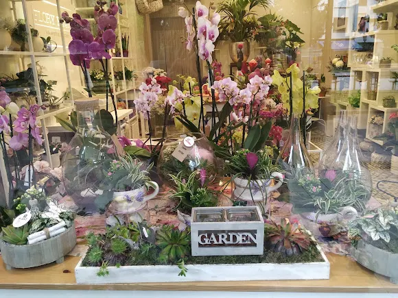 Floristería Flory Fauna