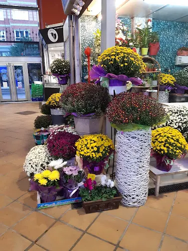 FLoristeria la plaza