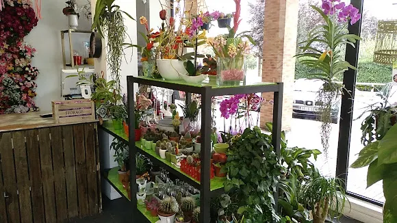 Pando Floristas - Oviedo