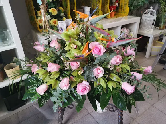 Floristería Nenúfar - Grado