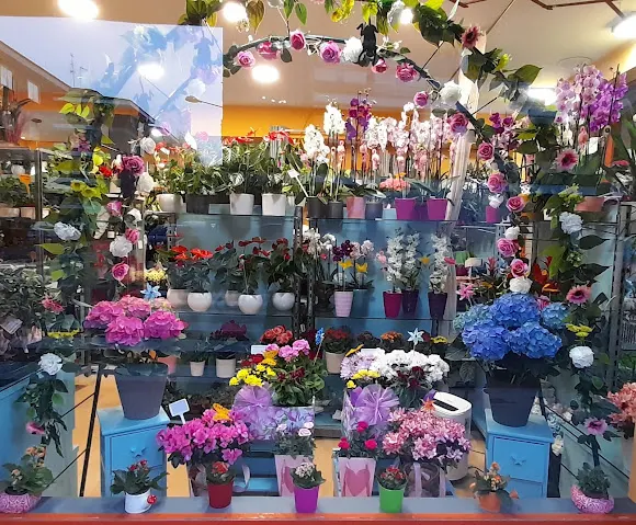 Feitizos Arte Floral