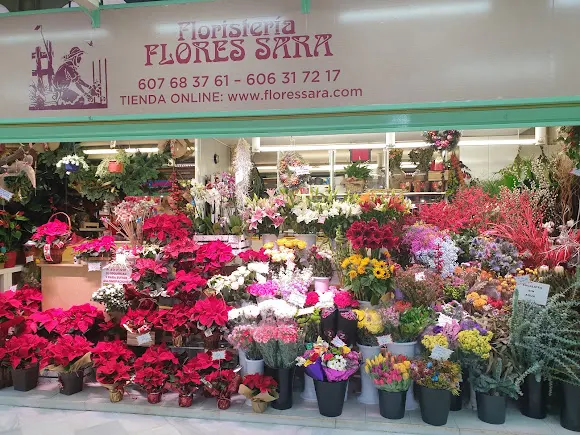 Flores Sara - Oviedo