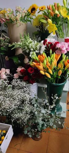 Floristería Maribel - Ribadeo