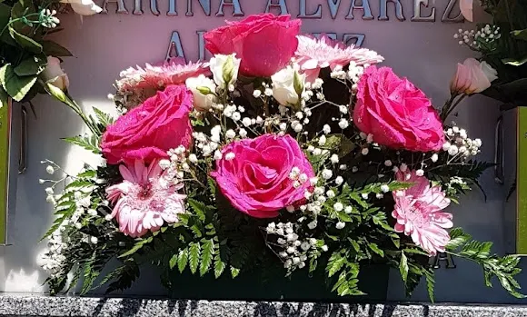 Ambar Floristería - Oviedo
