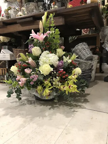 La Floristería De Cristina - Oviedo