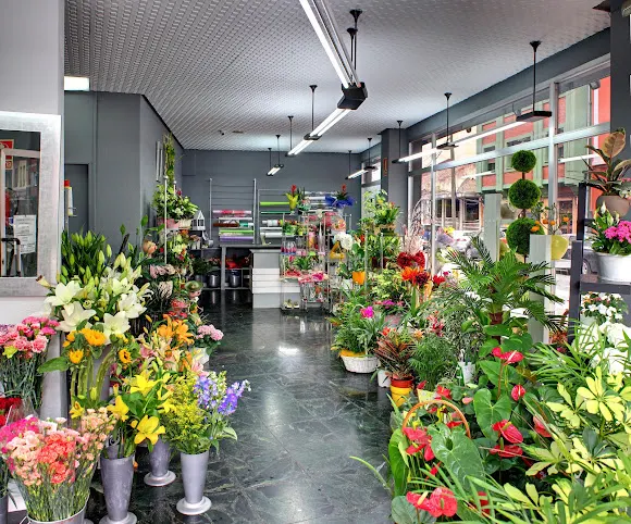Floristería Arco Iris La Felguera