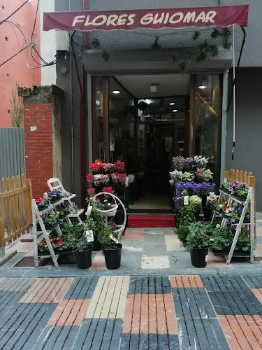 Flores Guiomar