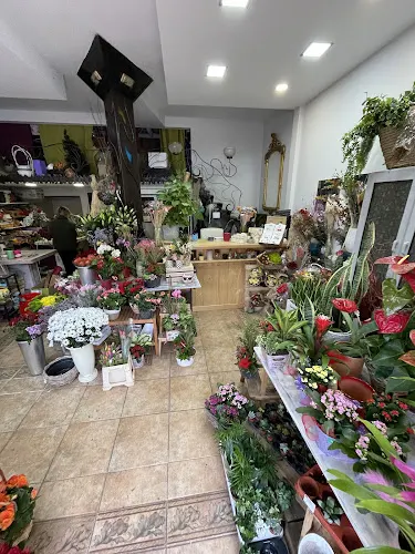 Malpica Floristas - Floristería en Villaviciosa de Odón