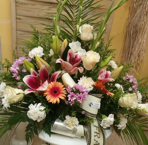 Miranda Floristeria